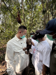     Hutan Terbakar, Habitat Orangutan Kalimantan Kian Terancam