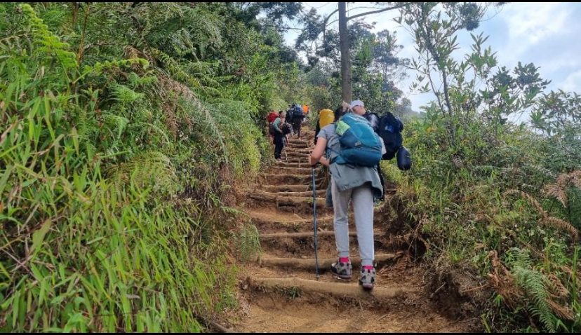 Viral Sejoli Pendaki Diduga Berbuat Tak Pantas di Gunung Prau, Pengelola Ungkap Kronologi