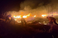 598 Hektare Kawasan Semeru Terbakar, BPBD Ungkap Tantangan Pemadaman