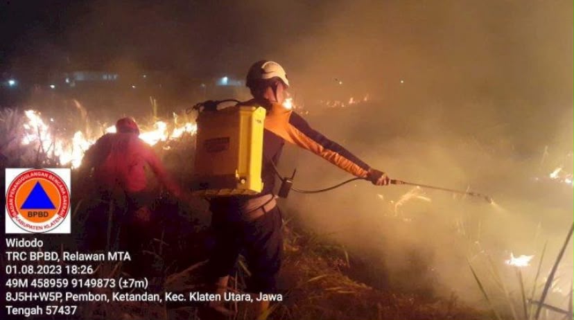 Jateng Catat 615 Kebakaran hingga Agustus 2026, Ratusan Terjadi di Hutan dan Lahan