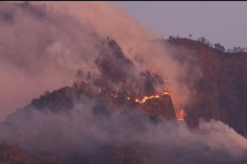 Karhutla Merambat ke TWA Kawah Ijen, Aktivitas Wisata Resmi Dihentikan