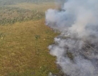 Api Kembali Membakar Taman Nasional Way Kambas, Muncul di 3 Titik