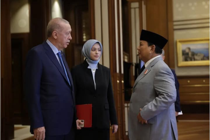 Viral! Erdogan Disebut Walk Out Saat Prabowo Pidato di D-8